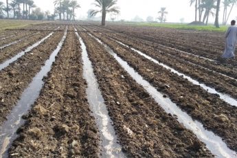 Sustainable Land,Soil and Water